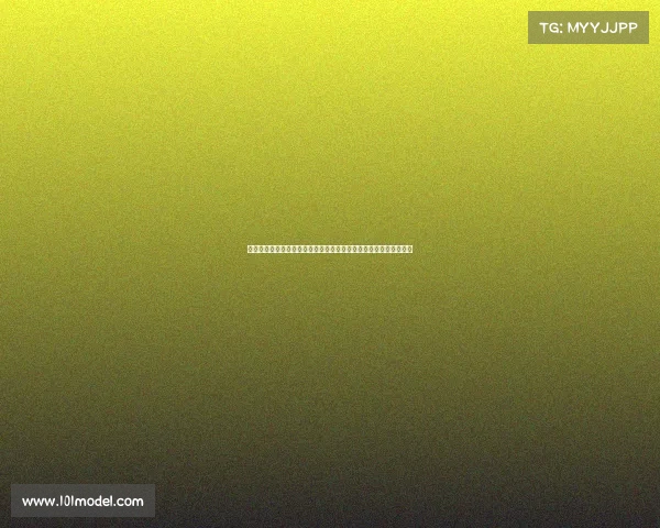 深入研究米特里策理论与应用,探索未来几天的学习重点与实践方向